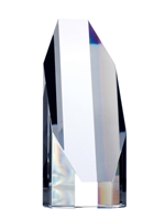 Octagon Tower Award (Customizable)