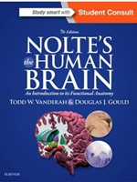 (EBOOK) NOLTE'S HUMAN BRAIN-W/ACCESS