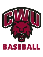 Baseball 4x4 Decal