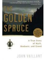 GOLDEN SPRUCE