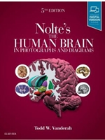 (EBOOK) HUMAN BRAIN IN PHOTOGRAPHS & DIAGRAMS