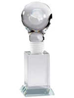 Crystal 3D Light Bulb with Brain