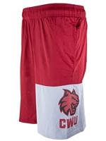 Under Armour Basketball Shorts