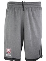 Nike Mens Gray Colorblock Short