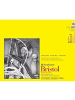 Bristol Vellum Pad 19" x 24"