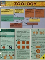 ZOOLOGY