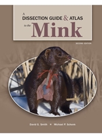 DISSECT.GDE.+ATLAS OF THE MINK