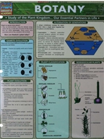 BOTANY