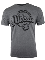 Graphite Tri-Blend Tee