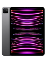 11-inch iPad Pro 4th Gen - 256GB