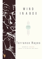 IA:ENG 455/555: WIND IN A BOX