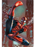 POSTER - SPIDERMAN WEB SLING