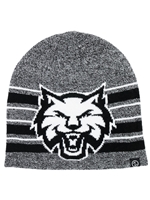 Zephyr Striped Beanie