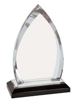 Silver Oval Impress Award