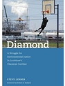 DIAMOND:STRUGGLE F/ENVIRONMENTAL...