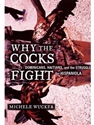 WHY THE COCKS FIGHT