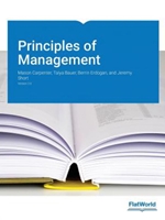 PRINCIPLES OF MANAGEMENT V2.0