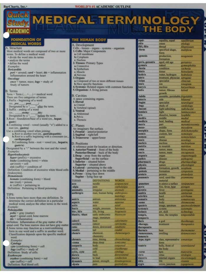 Wildcat Shop Medical Terminology The Body