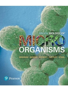 BROCK BIOLOGY OF MICROORGANISMS-TEXT