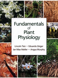 FUNDAMENTALS OF PLANT PHYSIOLOGY