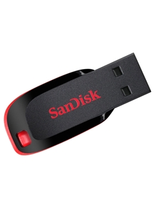 SanDisk 32GB Cruzer Blade Flash Drive