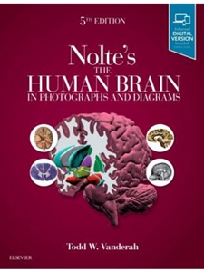 (EBOOK) HUMAN BRAIN IN PHOTOGRAPHS & DIAGRAMS