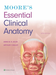 MOORE'S ESSEN.CLINICAL ANATOMY-W/ACCESS