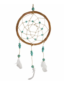 Willow Dreamcatcher