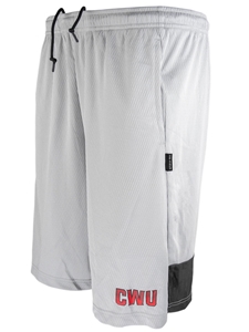 Nike Gray Sideline Shorts