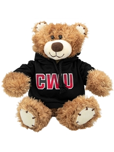 Central Wildcats Plush Teddy Bear