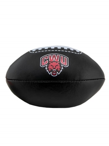 CWU Mini Plush Football