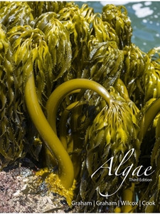 ALGAE - NOT AVAILABLE FROM THE WILDCAT SHOP