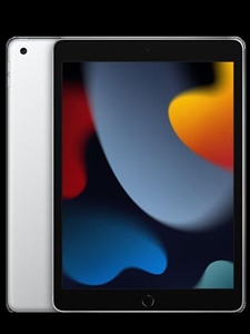 10.2" iPad Wi-Fi (9th Gen, 2021) 256GB