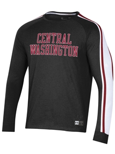 UA Long Sleeve Stripe Tee