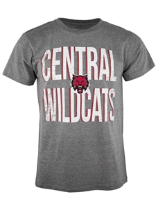 Classic Gray Central Tee