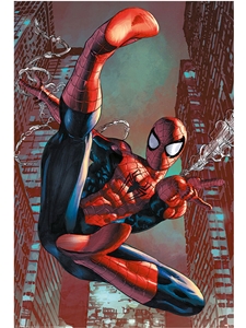 POSTER - SPIDERMAN WEB SLING