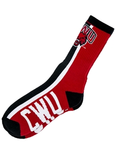 DA BOMB CWU SOCK