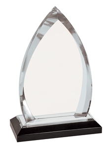 Silver Oval Impress Award