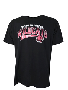 Central Washington Black Tee