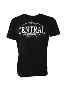 Central Glacier Mountain Black Tee