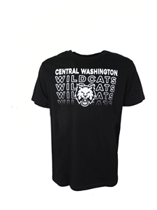Central Washington Black Tee