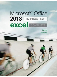 MICROSOFT OFFICE EXCEL 2013