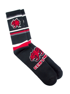 CWU Wildcats Tube Sock