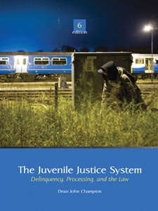 JUVENILE JUSTICE SYSTEM