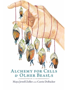 ALCHEMY FOR CELLS AND OTHER BEASTS