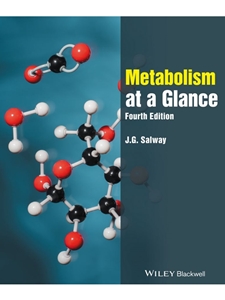 METABOLISM AT A GLANCE